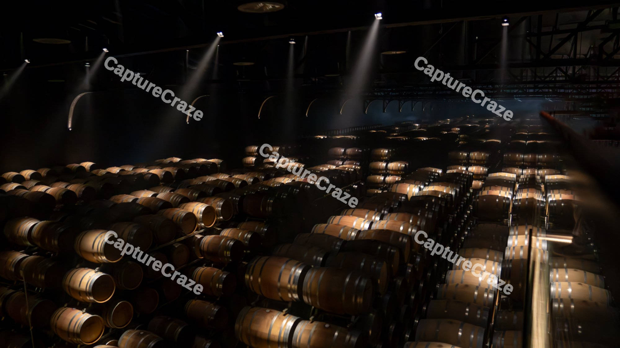 Oak barrels in the wine cellar